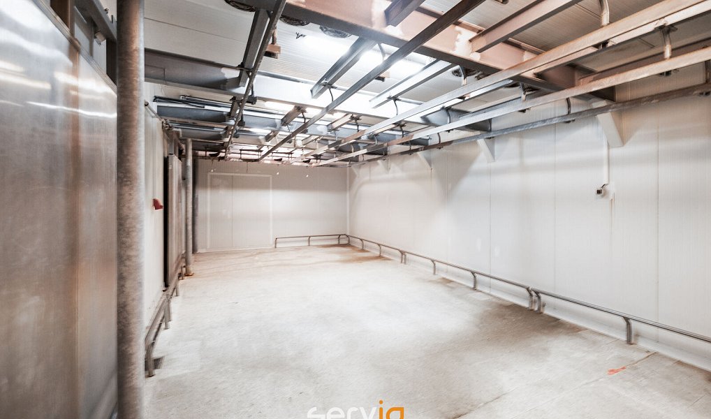Prodej výrobních prostor 3 100 m², Tištín – náhled fotky 5