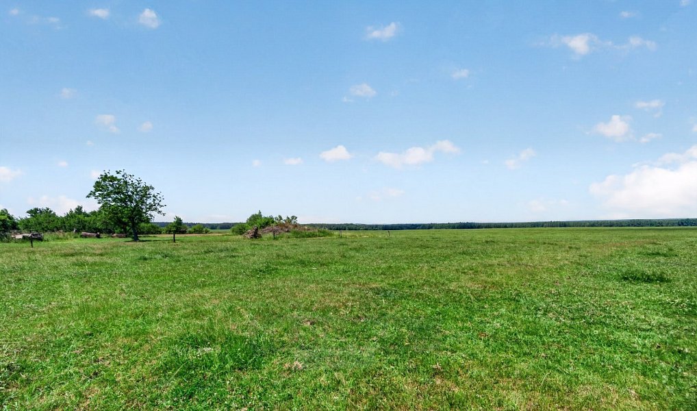 Prodej stavebního pozemku 1 168 m², Mladošovice – náhled fotky 3