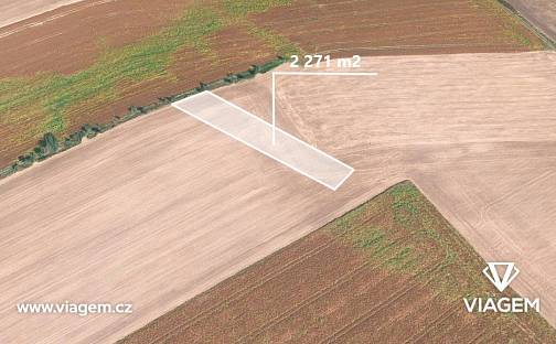 Prodej lesa 2 271 m², Bernartice nad Odrou, okres Nový Jičín