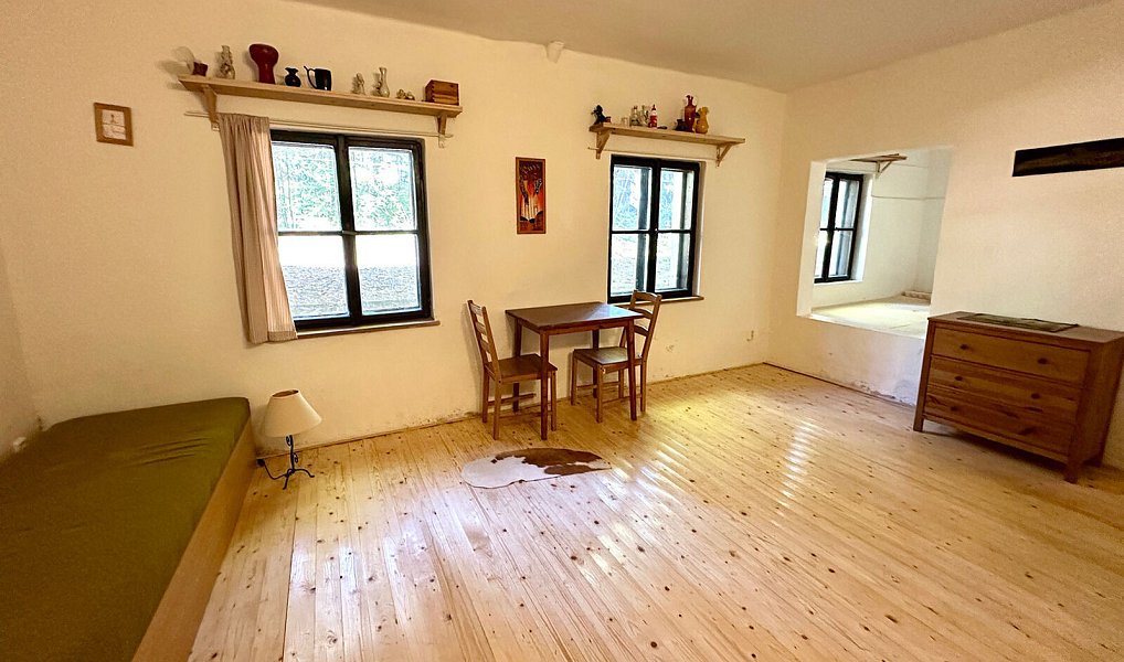 Prodej domu 400 m² s pozemkem 15 757 m², Železná Ruda – náhled fotky 7