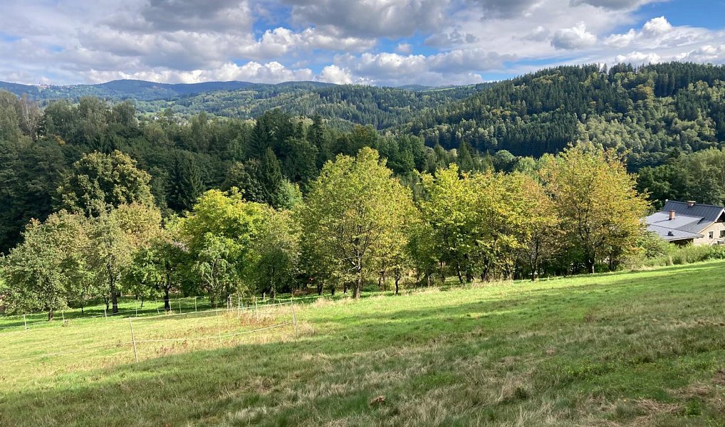 Prodej stavebního pozemku 1 132 m², Plavy – náhled fotky 5