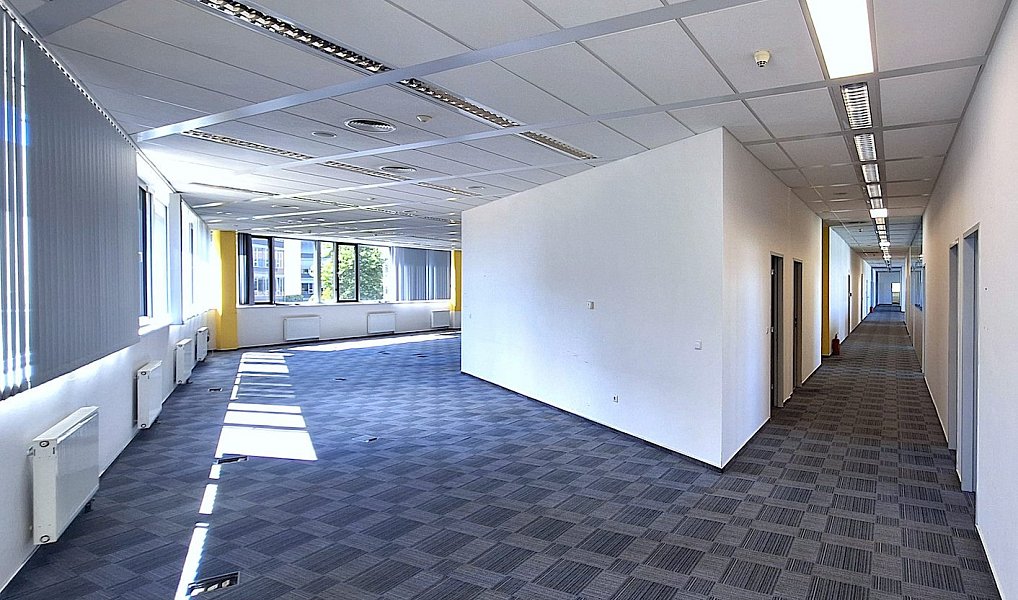 Pronájem kanceláře 161 m², Ořech – náhled fotky 4