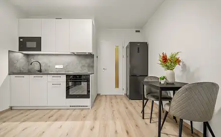 Pronájem bytu 1+kk 33 m²