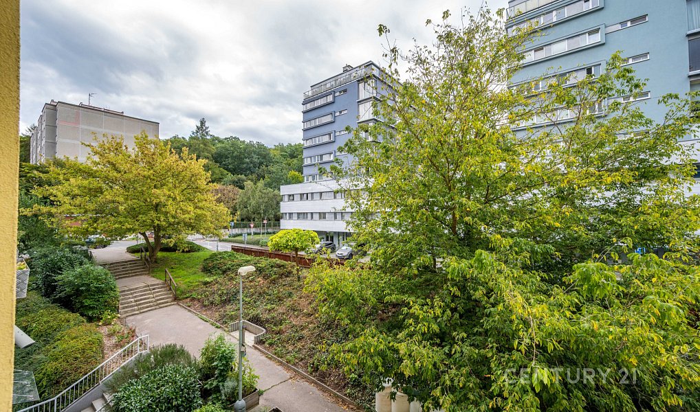Pronájem bytu 2+kk 41 m², Praha – náhled fotky 12