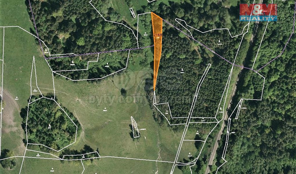 Prodej louky 1 471 m², Horní Dvořiště – náhled fotky 4