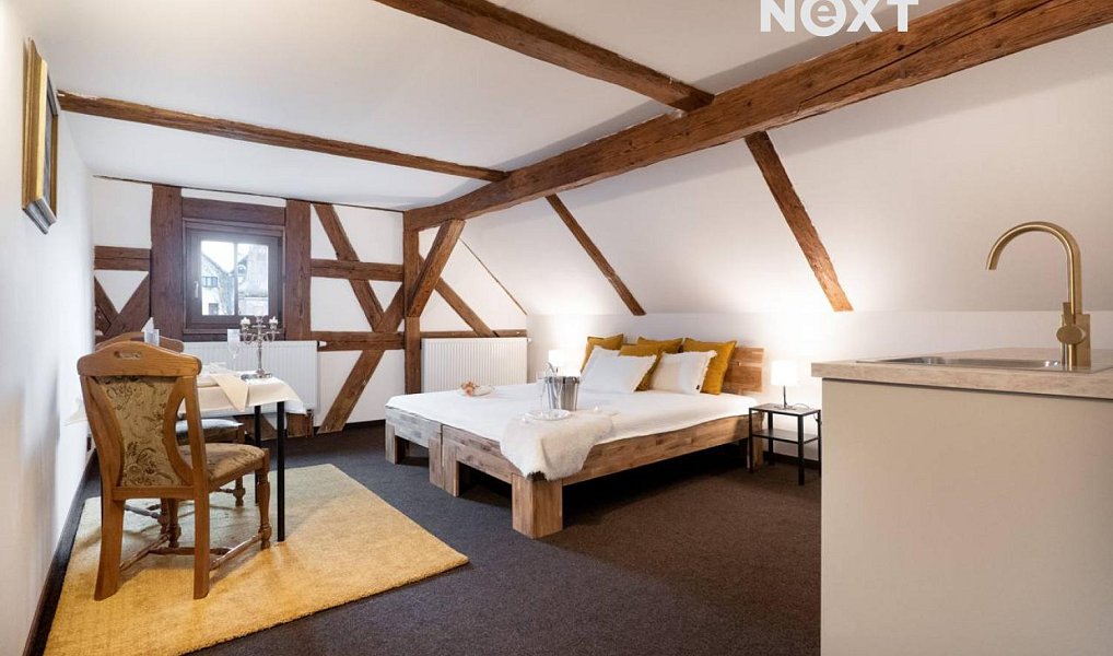 Prodej ubytovacího objektu 600 m², Teplá – náhled fotky 4