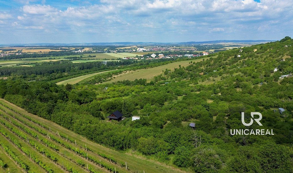 Prodej pole 3 851 m², Židlochovice – náhled fotky 9