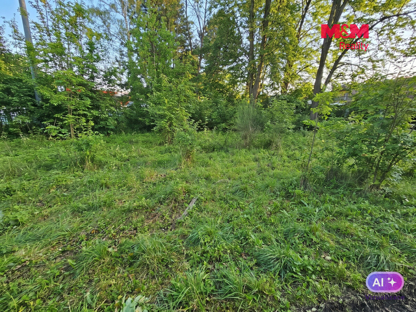 Prodej pole 1 439 m² – fotografie 2