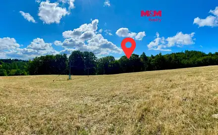 Prodej lesa 5 050 m², Hranice - Hranice IX-Uhřínov, okres Přerov