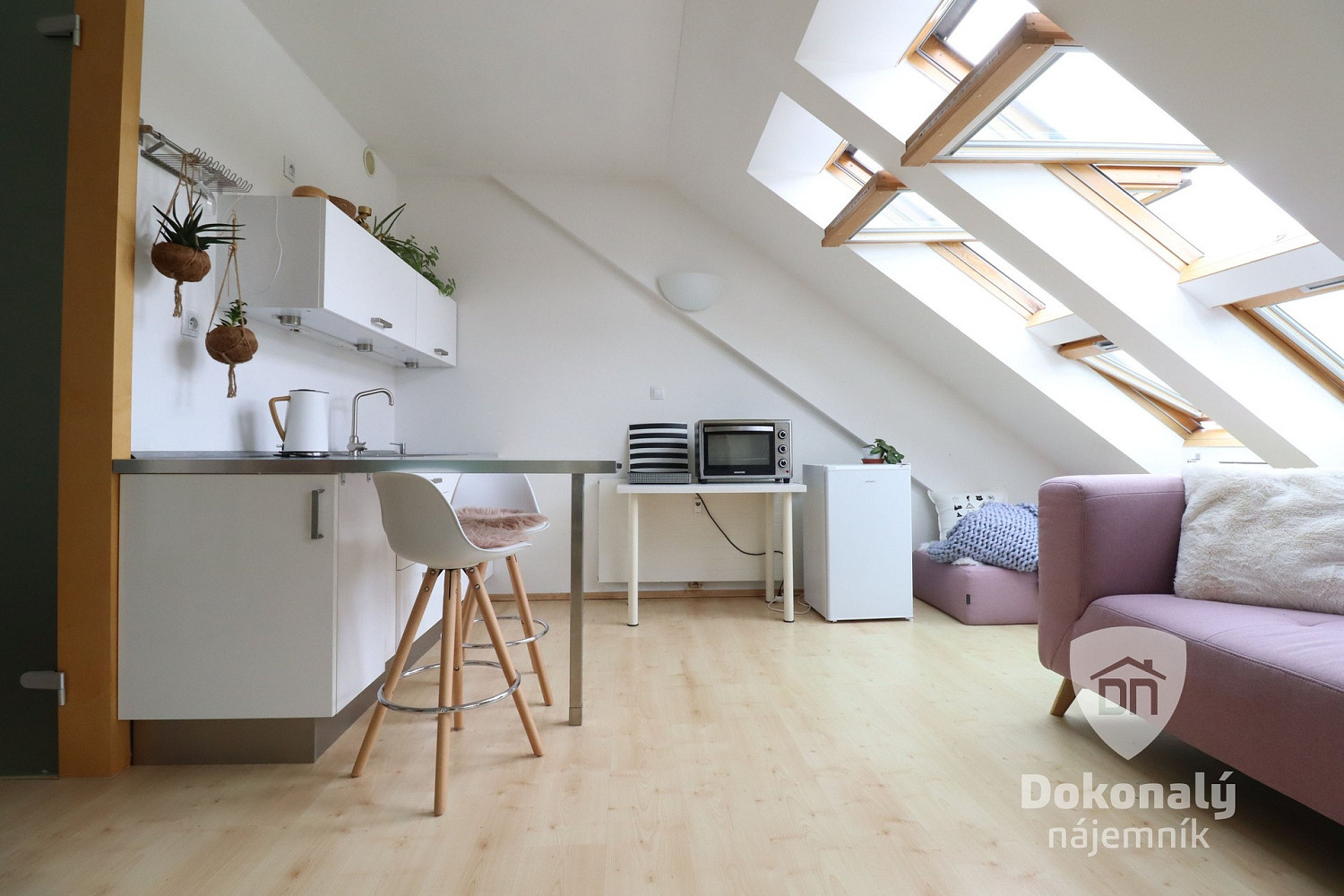 Pronájem bytu 1+kk 45 m² – fotografie 5