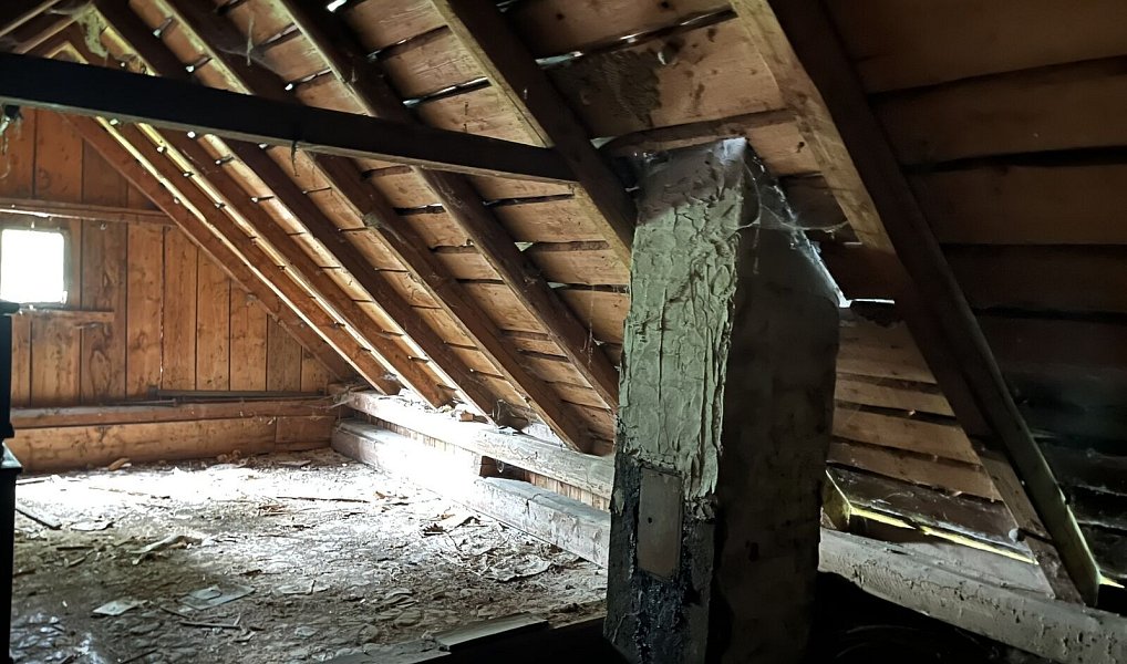 Prodej chaty/chalupy 158 m² s pozemkem 39 275 m², Liptál – náhled fotky 14