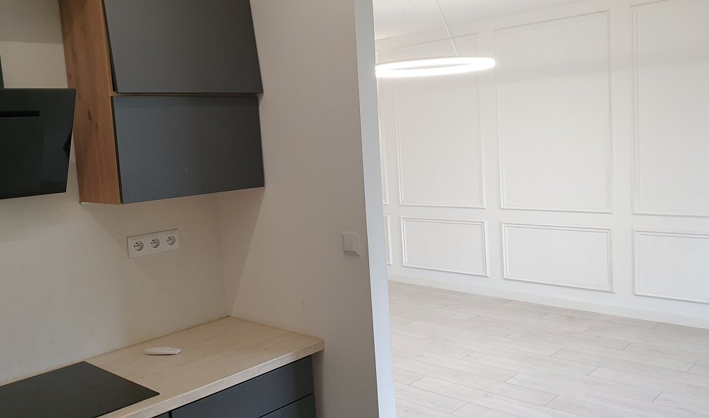 Pronájem bytu 1+kk 30 m², Teplice – náhled fotky 5