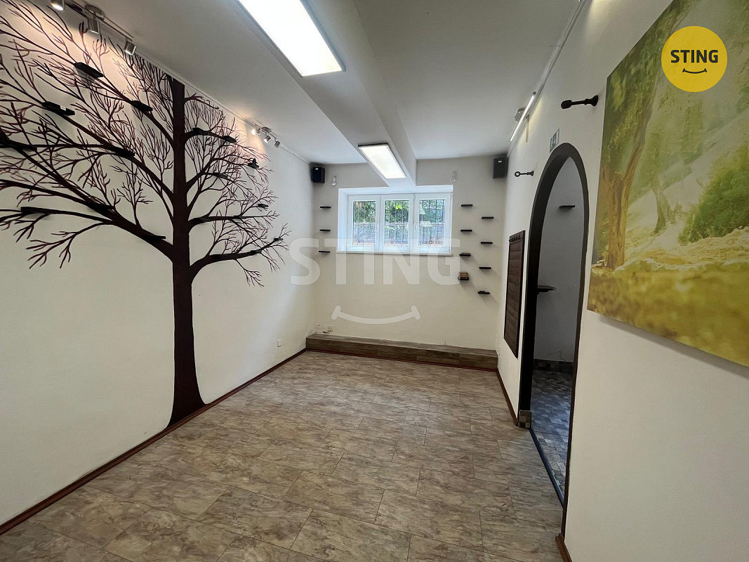 Pronájem obchodních prostor 44 m² – fotografie 2