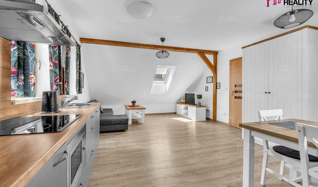 Prodej ubytovacího objektu 184 m², Orlické Záhoří – náhled fotky 20