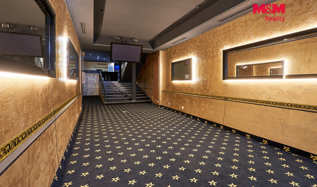 Pronájem obchodních prostor 205 m², Uherský Brod – náhled fotky 5