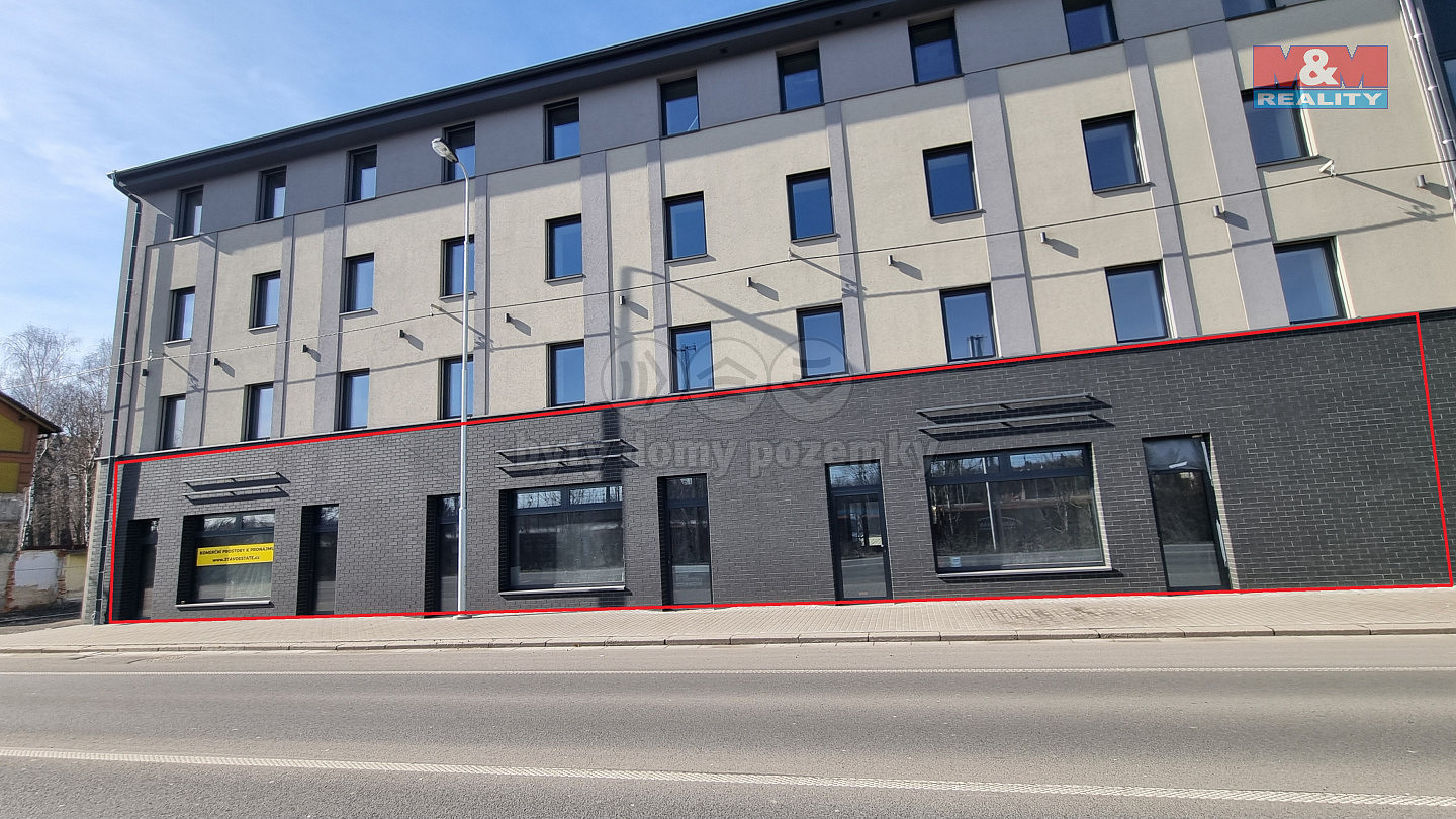 Pronájem obchodních prostor 219 m² – fotografie 2