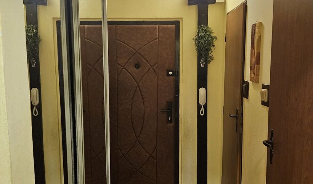 Pronájem bytu 2+kk 45 m², Praha – náhled fotky 7