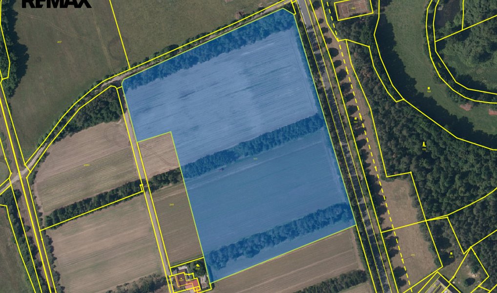 Prodej lesa 63 558 m², Dvory nad Lužnicí – náhled fotky 3