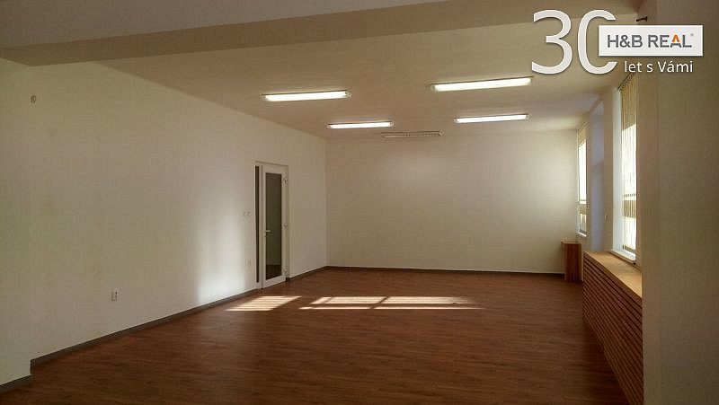 Pronájem obchodních prostor 195 m² – fotografie 4
