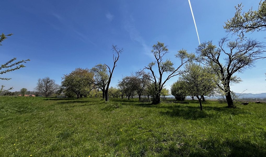 Prodej pozemku 7 559 m², Horní Újezd – náhled fotky 10