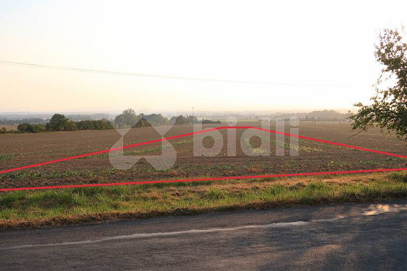 Prodej pole 3 030 m² – fotografie 3