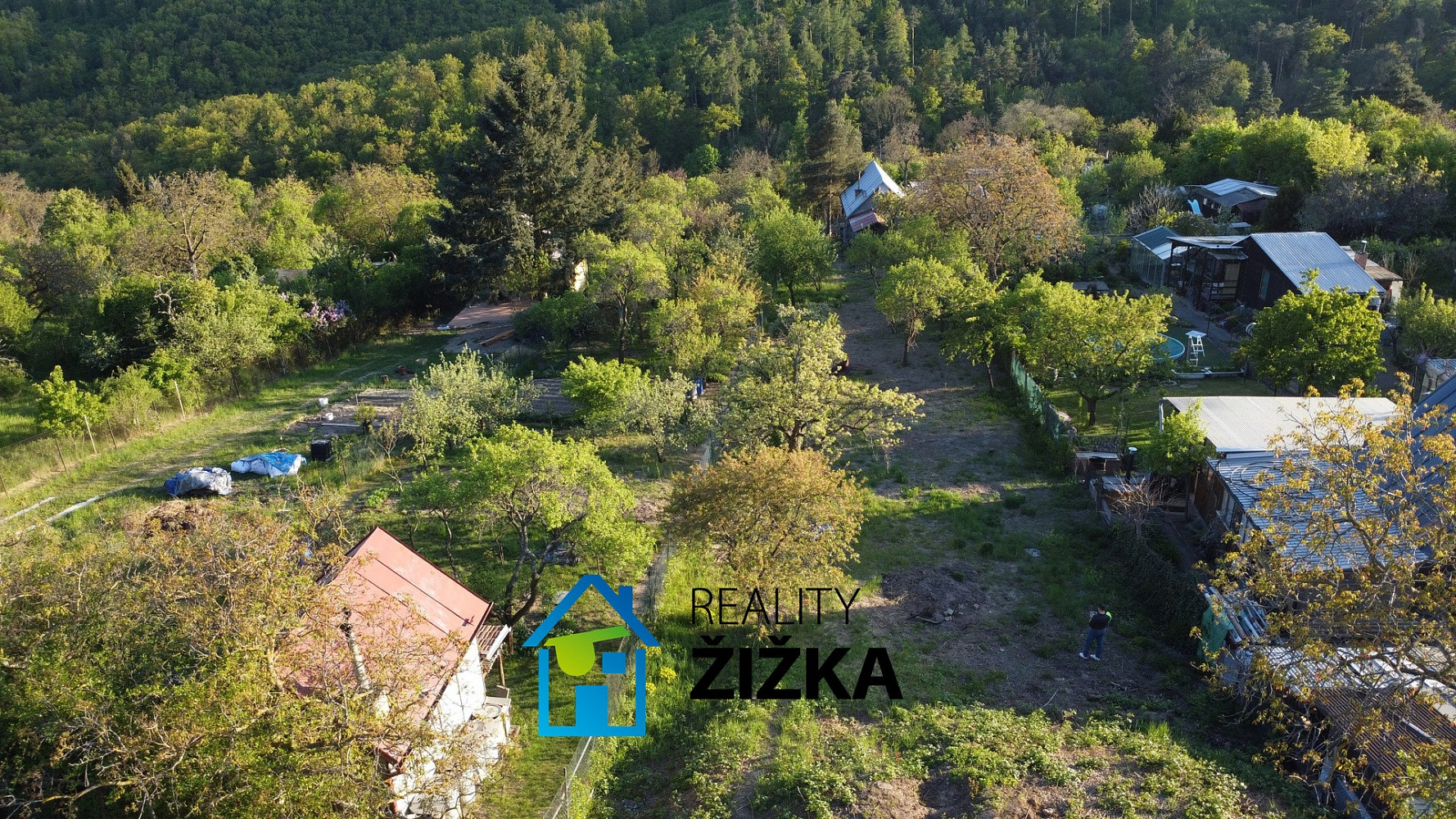 Fotka 16 z 19