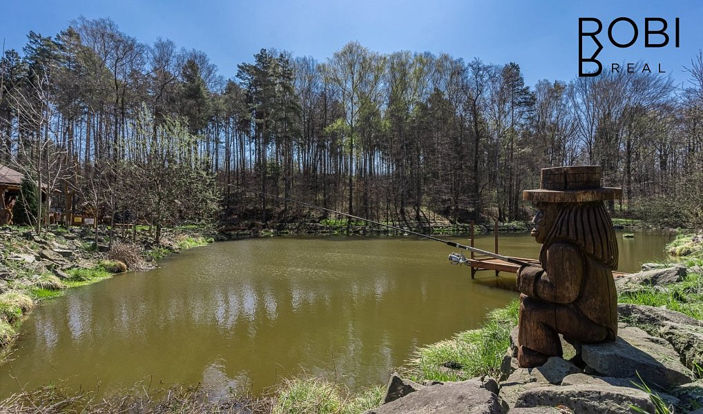 Prodej domu 191 m² s pozemkem 8 441 m², Petřvald – náhled fotky 29