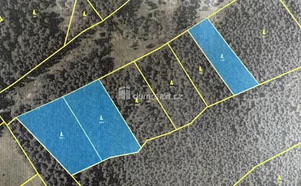 Prodej lesa 11 340 m², Nebahovy - Jelemek, okres Prachatice