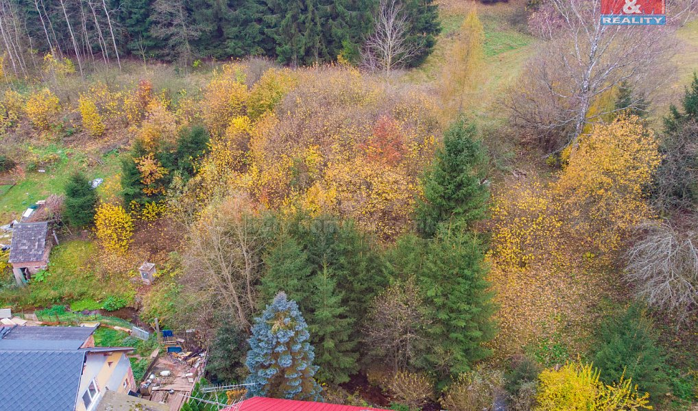 Prodej zahrady 1 556 m², Vidochov – náhled fotky 2