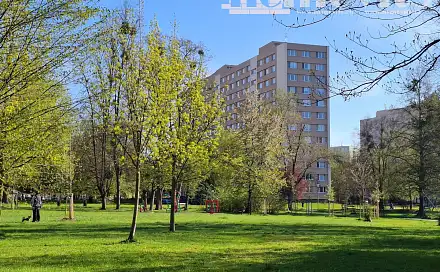 Prodej bytu 2+1 46 m², Na Robinsonce, Ostrava - Poruba