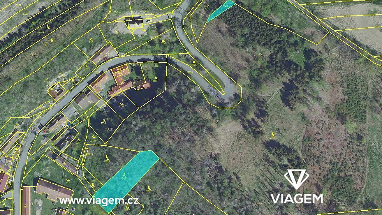 Prodej lesa 1 243 m² – fotografie 2