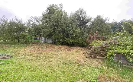 Dražba zahrady 194 m², Střížovice