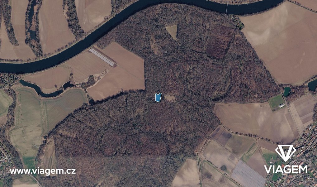 Prodej lesa 1 325 m², Přerov nad Labem – náhled fotky 3