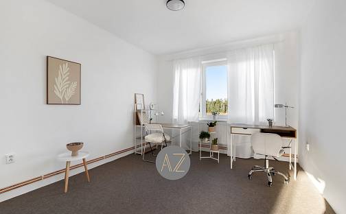 Prodej bytu 3+1 77 m², Hrejkovice, okres Písek