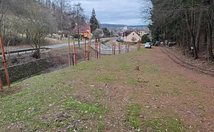 Prodej lesa 12 020 m², Letovice, okres Blansko