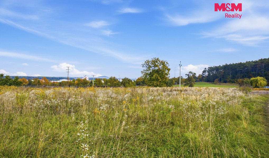 Prodej zahrady 3 800 m², Roudnice nad Labem – náhled fotky 12