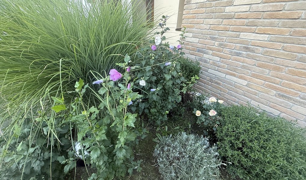 Prodej domu 140 m² s pozemkem 224 m², Ledce – náhled fotky 6