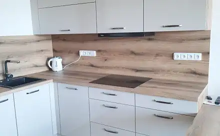 Pronájem bytu 1+kk 31 m², Aloise Rašína, Olomouc - Řepčín