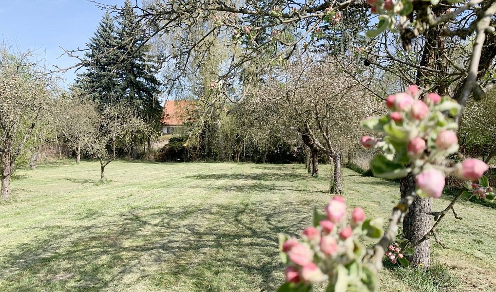 Prodej domu 90 m² s pozemkem 2 409 m², Pšovlky – náhled fotky 12