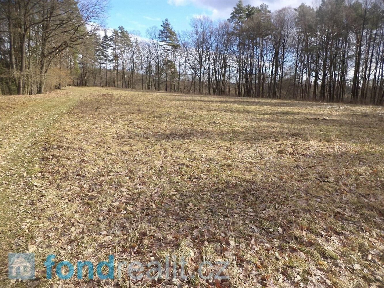 Prodej pozemku 15 643 m² – fotografie 4