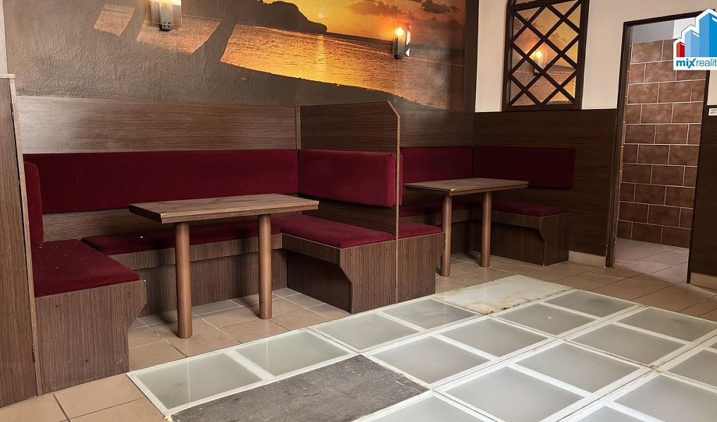 Prodej komerčního objektu (jiného typu) 600 m², Kralovice – náhled fotky 12