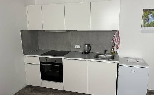 Pronájem bytu 1+kk 27 m², Boženy Němcové, Čáslav - Čáslav-Nové Město, okres Kutná Hora