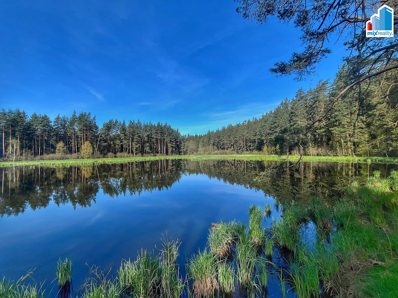 Prodej vodní plochy 16 545 m² – fotografie 4