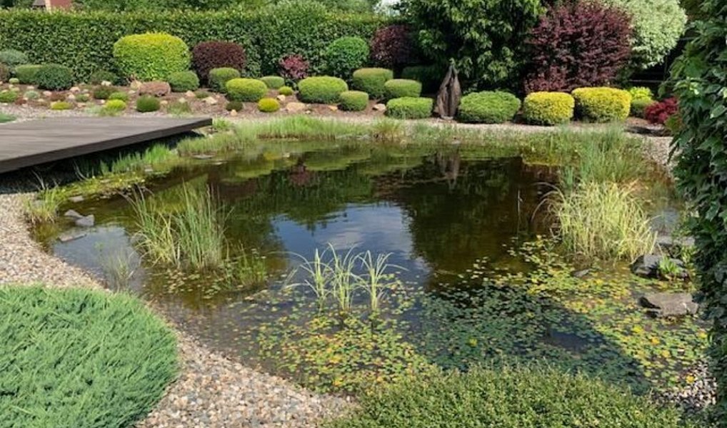 Prodej domu 227 m² s pozemkem 2 787 m², Okrouhlá – náhled fotky 26