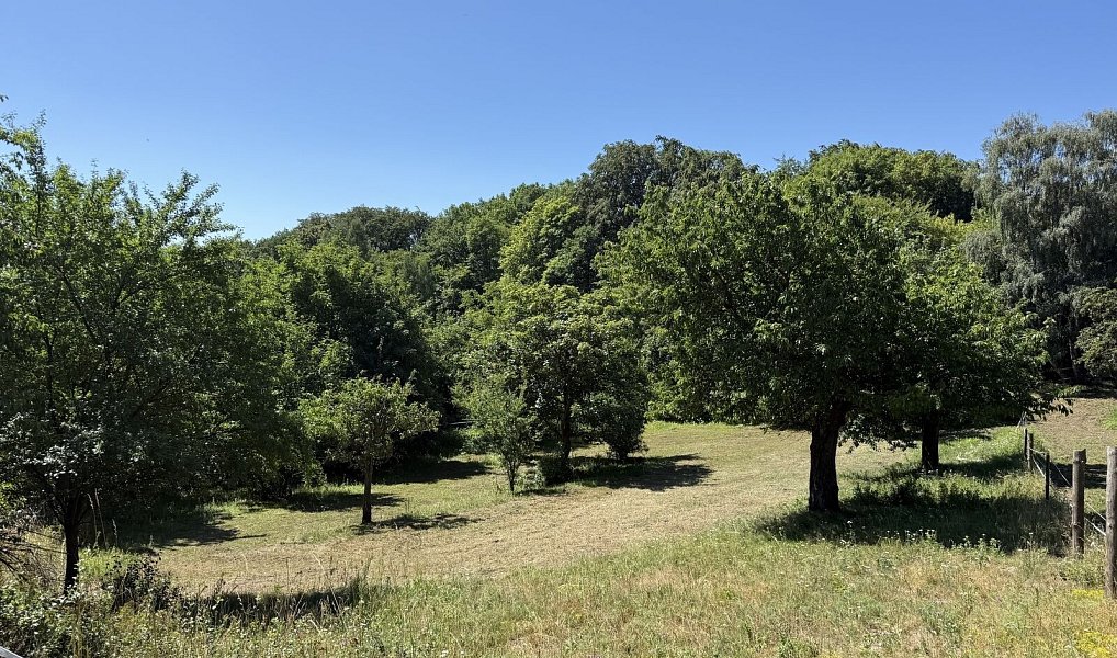 Prodej domu 85 m² s pozemkem 352 m², Litvínov – náhled fotky 3
