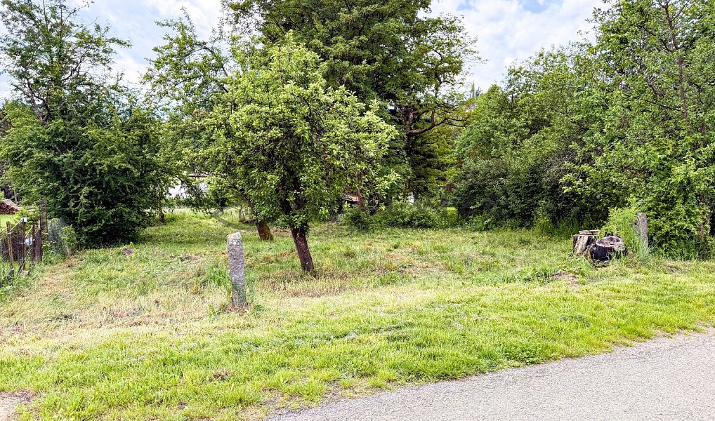 Prodej stavebního pozemku 1 530 m², Stachy – náhled fotky 3