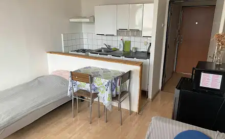 Pronájem bytu 1+1 39 m²