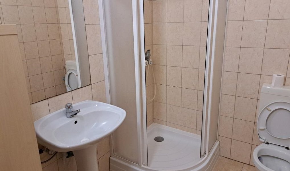 Pronájem bytu 1+kk 25 m², Jámy – náhled fotky 4