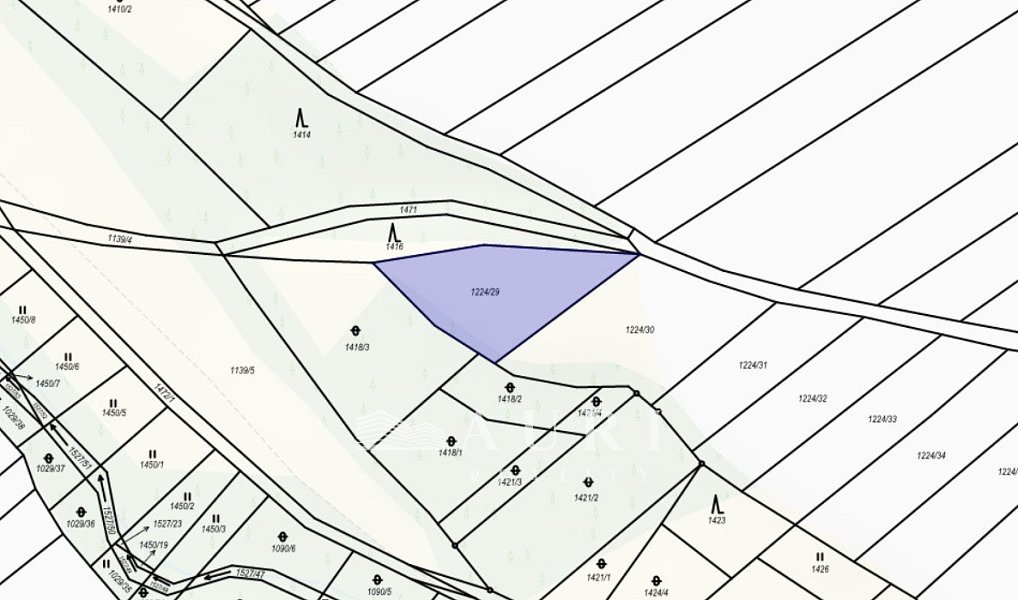 Prodej lesa 910 m², Peruc – náhled fotky 2