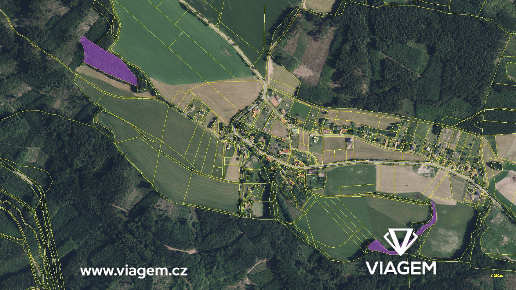 Prodej lesa 4 743 m² – fotografie 4